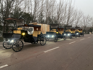 Carro de turismo sin caballos real europeo, parques de atracciones para paseos en carro eléctrico, venta de transporte especial - Product Image 4