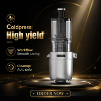 Extracteur de jus lent électrique en acier inoxydable 350 ml pour vente en gros OEM, presse à froid, avec logo personnalisé et marque privée