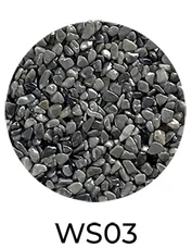 WS03