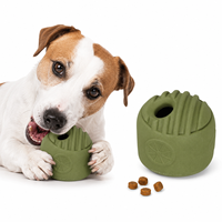 Choix des vendeurs en ligne : Jouet pour chien en caoutchouc menthe avec design de distribution lente pour libérer l'énergie en intérieur