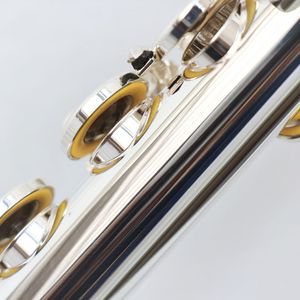 <span class=keywords><strong>Flauta</strong></span> <span class=keywords><strong>de</strong></span> 16 Orificios Cerrados, Cuerpo <span class=keywords><strong>de</strong></span> Cuproníquel, Instrumento Musical, Plateada, <span class=keywords><strong>Flauta</strong></span> Metálica para Estudiantes - Product Image 2