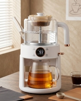 Bouilloire Santé en Verre 220V avec Contrôle de Température, Chauffage Électrique, Idéale pour la Maison et le Bureau