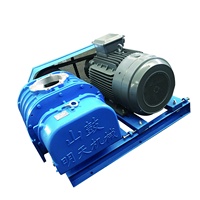 Souffleur rotatif ShanguBrand RSR125, souffleur centrifuge électrique haute pression AC, support OEM personnalisé