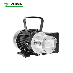 ZUWA impeller pump NIROSTAR 2000-B 13211256332 with motor