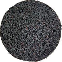 Produits à base de plantes chinoises Wang Bu Liu Xing : Graines noires de Vaccaria de haute qualité, aliments santé, épices diététiques, herbes et épices très demandées
