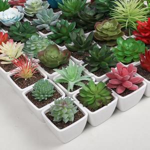 <span class=keywords><strong>Echeveria</strong></span>-bonsái artificial para decoración del hogar, mini plantas suculentas, tacto real, 2023 - Product Image 3