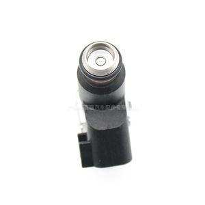 Injecteur de carburant automobile 28334878 pour Geely Trumpchi, pièce de rechange Delphi - Product Image 2