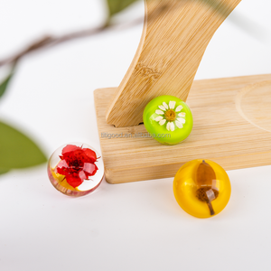 Espécimen de Resina, Taxidermia, Artesanía de Resina, Espécimen de Insecto, <span class=keywords><strong>Insectos</strong></span> en Resina, Regalo Especial, Alfileres con Plantas Encapsuladas en Resina - Product Image 2