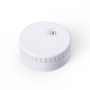 Enregistreur de données de température et d'humidité KKM S5 IoT, enregistreur de données sans fil Bluetooth BLE, capteur de température avec bouton - Product Image 1