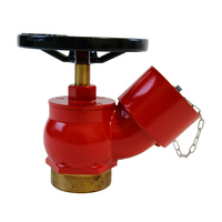 Robinet d'arrêt oblique d'entrée de 2,5'' pour hydrant incendie, équipement de protection incendie, accessoire de lutte contre l'incendie