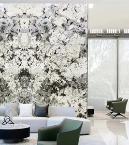 Cuarcita Brasileña de Lujo, Pulida y Esmaltada, con Aspecto de Mármol, Losas de Pared, Piedra Natural de Cuarcita para Decoración de Interiores - Product Image 5