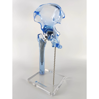 Modèle d'implant de hanche transparent KyrenMed, modèle de remplacement, mini taille, modèle d'affichage générique transparent