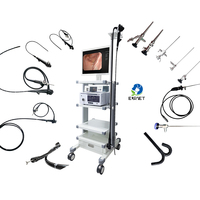 Système d'endoscopie gastro-intestinale vétérinaire EUR VET, équipement vétérinaire le plus vendu, machine d'endoscopie, endoscope flexible vétérinaire