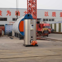 Chaudières verticales entièrement automatiques au gaz pour eau chaude, haute efficacité énergétique, pour le chauffage et l'eau chaude – Fournisseur Fabricant