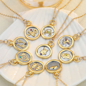 FY joyería de moda inspiración collares del zodiaco astrología piedra natal cera <span class=keywords><strong>sello</strong></span> moneda constelación del zodiaco colgante collar - Product Image 1