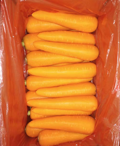 Jahe Segar Seluruh Kotak Jahe Muda Manis Berair Kaya Nutrisi Petani 10Kg/karton Grosir Pabrik Kualitas Tinggi Harga Rendah - Product Image 1