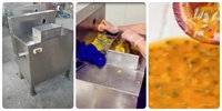 Automatische passievruchtenpulp-uitneemmachine van roestvrij staal, passievruchten-halveermachine en pulp-extractiemachine