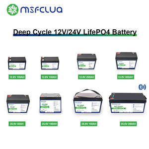 Аккумулятор MSFCLUA 12 Вольт 100 Ах Lifepo4 12 <span class=keywords><strong>v</strong></span> 100ah литий-ионные аккумуляторы - Product Image 6