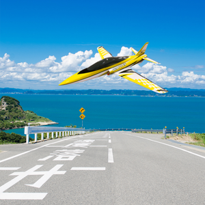 Modello di Aereo Turbojet Completamente in Composito, 2 Metri - Product Image 4