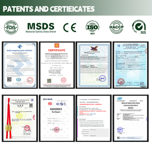 อาหารแมวแบบเม็ดแห้ง ผลิตแบบ OEM โปรตีนสูง สูตร<span class=keywords><strong>ไก่</strong></span>แท้ จำหน่ายส่งอาหารสัตว์เลี้ยง - Product Image 2
