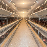 Jaulas para pollos completamente automáticas multicapa tipo H para granja avícola modelo MT marca nueva y superventas de acero galvanizado 128