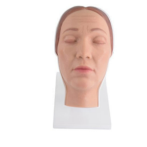 Modèle d'entraînement en silicone de tête humaine pour injections chirurgicales et cosmétiques avec nerfs faciaux et vaisseaux sanguins simulés - Product Image 4
