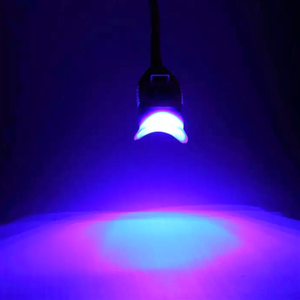 Vendita calda professionale dentale LED 12 blu luce di marca <span class=keywords><strong>ambra</strong></span> salone Spa Multi-uso denti sbiancamento materiale alimentare - Product Image 3