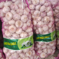 Ail Blanc Frais en Gros à Prix Compétitif, Légume Frais du Shandong, Chine, pour l'Exportation en Gros