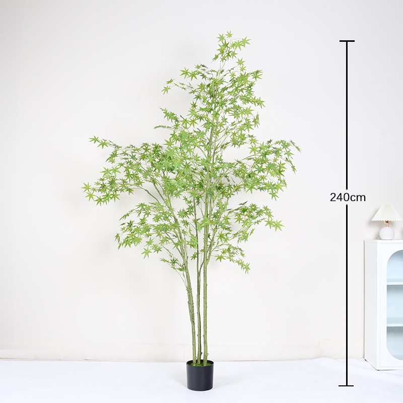 240cm
