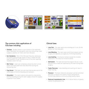 YSML020-CA Laser dokter hewan ysen, hewan peliharaan, penggunaan medis Ultrapulse CO2 terapi Laser Vet - Product Image 6