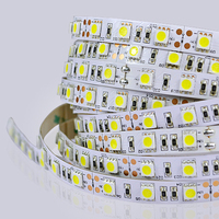 Bande LED 5050 basse tension haute luminosité 10 mm 12 V 24 V étanche EXW
