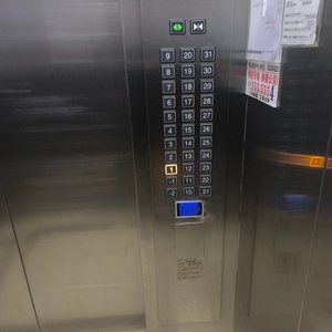 Ascensor Residencial de Bajo Ruido para Interiores/Exteriores, de 2 a 4 Pisos, con Tracción Eléctrica, para Viviendas Pequeñas, con Cabina para 4-6 Personas, el Más Vendido - Product Image 1