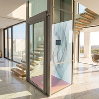 Ascenseur hydraulique de luxe pour maison avec cabine à motifs