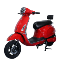 Moto électrique vintage 1000W 60V, prix usine, personnalisable, cyclomoteur adulte, moto électrique sportive, vente directe usine