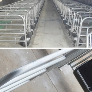 Prodotti di vendita caldi attrezzature per allevamento di animali stallo di gestazione pesante barra di posizionamento limite di scrofa di <span class=keywords><strong>maiale</strong></span> penna di gestazione zincata - Product Image 2