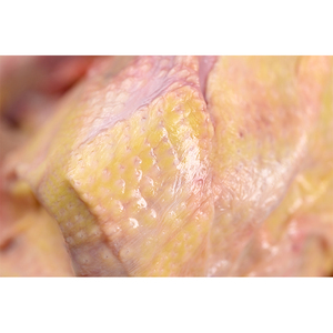 Pigeon fumé rôti Halal <span class=keywords><strong>Mature</strong></span> King, faible <span class=keywords><strong>en</strong></span> gras, riche <span class=keywords><strong>en</strong></span> nutriments, emballé sous vide pour une alimentation nutritive et les repas quotidiens <span class=keywords><strong>en</strong></span> famille - Product Image 5