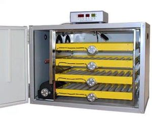 Nhà Máy Bán Buôn Hoàn Toàn Tự Động Trứng Gà Lồng Ấp Để Bán - Product Image 4