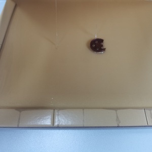 Plaques collantes pour souris, adhésif puissant, attrape-rongeurs pour la maison - Product Image 3