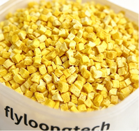 Groothandel Bulkverpakking Gedroogde Mango Blokjes, Knapperige Gedroogde Mango Kubussen, Natuurlijk Gedroogd Fruit voor Bakken en Ontbijtgranen