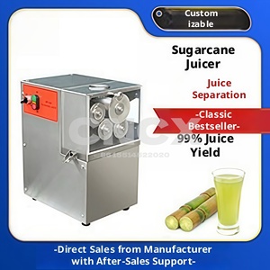 Cold Press Mango Juice Making Machine for Small Business <strong>Low</strong> Oxidation Rate High Yield 500kg Per Hour Fruit Processing - Product Image 3