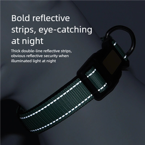 <span class=keywords><strong>Collar</strong></span> de mascota personalizado a la moda hebilla de Metal ajustable correas de nailon de <span class=keywords><strong>PVC</strong></span> <span class=keywords><strong>collar</strong></span> de perro de tela impermeable - Product Image 5