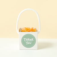 Sac d'emballage cadeau portable en papier kraft imperméable pour plantes et fleurs, boîte pliante pour plantes succulentes en pot, idéal pour l'exportation transfrontalière