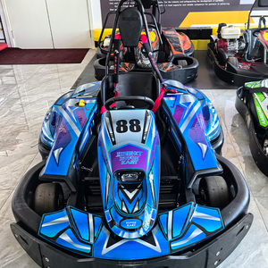 <span class=keywords><strong>Kart</strong></span> électrique de course à dérive haute vitesse pour adulte, monoplace, avec châssis de protection, logo personnalisé, moteur brushless 3000W, tout-terrain - Product Image 2