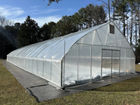 Serre tunnel économique à simple travée en film plastique pour jardin et petite exploitation agricole