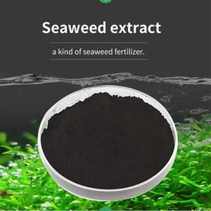 משואה אבקה אורגני אצות אצות excract פתית דשן של דשן אורגני כמו דשן מוצרים קמח עצמות - Product Image 2