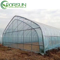 Best-seller Serre-tunnel Tente de serre à travée unique chinoise agricole à cadre en acier galvanisé de Chine