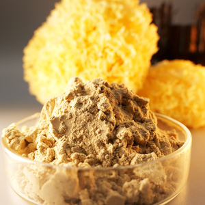 하이 퀄리티 트레멜라 추출물 10:1-100:1 수용성 트레멜라 분말 트레멜라 다당류 분말 30%-80% - Product Image 5