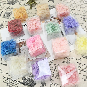 D142 fiori naturali 100% per candela in resina regalo fiore essiccato per artigianato fiori conservati di ortensie Set - Product Image 2