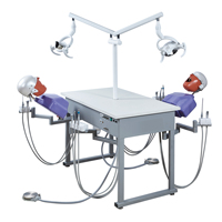 Équipement dentaire pour les dents, système de simulation d'enseignement clinique dentaire, tête de fantôme