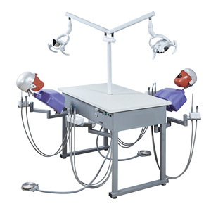 <strong>Dental</strong> Equipment <strong>Dental</strong> Clinical Teaching <strong>Simulation</strong> Training System Phantom Head - Product Image 5